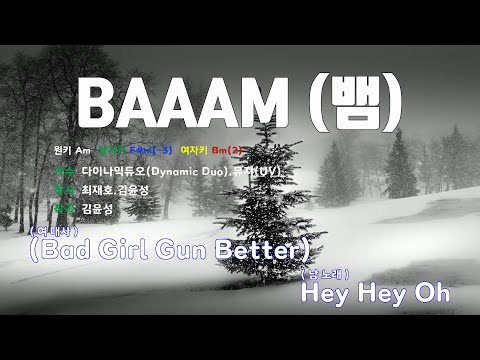 [은성 반주기] BAAAM(뱀) - 다이나믹듀오(Dynamic Duo).뮤지(UV)