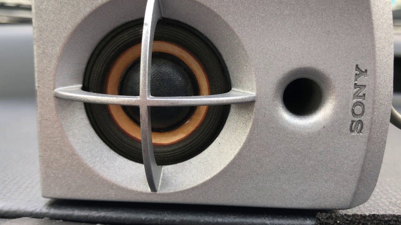 試し撮り SONY  SRS-Z1