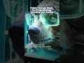 Why Programmers Love This Future Garage Mix #bearcodeflow #programming #musicforcoding