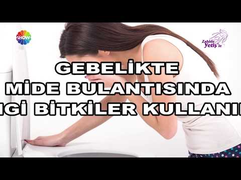 SHOW - 3  HAMİLELİKTE MİDE BULANTISINDA HANGİ BİTKİLER KULLANILIR?