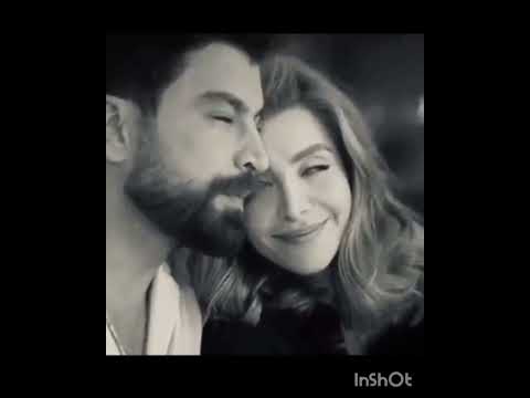 أغنية وحشتينى هاني شاكر