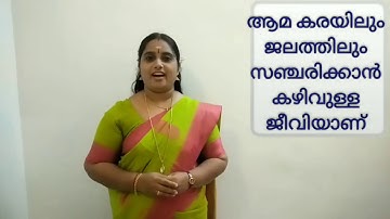 Std 4 EVS Unit 1 Class 03 White Board CP