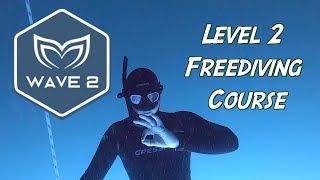 Molchanovs Level 2 Freediving Course Review