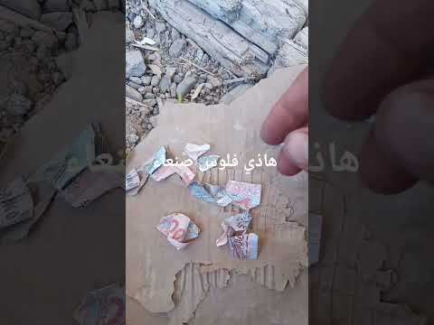 جنوبي حر