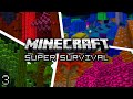 Minecraft: Super Modded Survival MYSTERIOUS