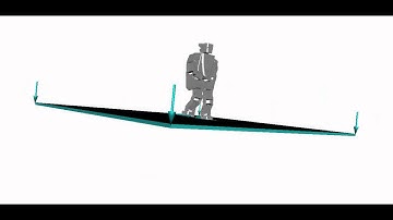 Humanoid walking simulation