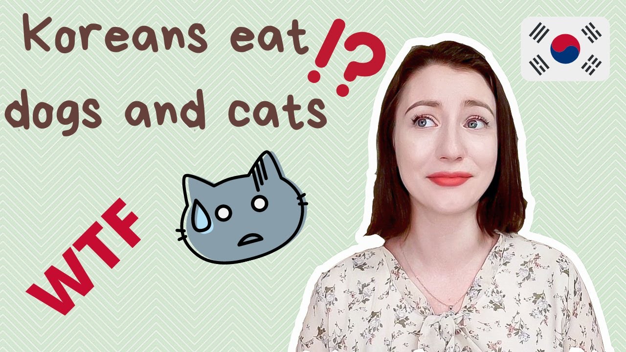 10 ГРЕШНИ ФАКТА за Южна Корея! / 10 common misconceptions about South Korea!