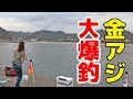 【外房金アジ大爆釣】