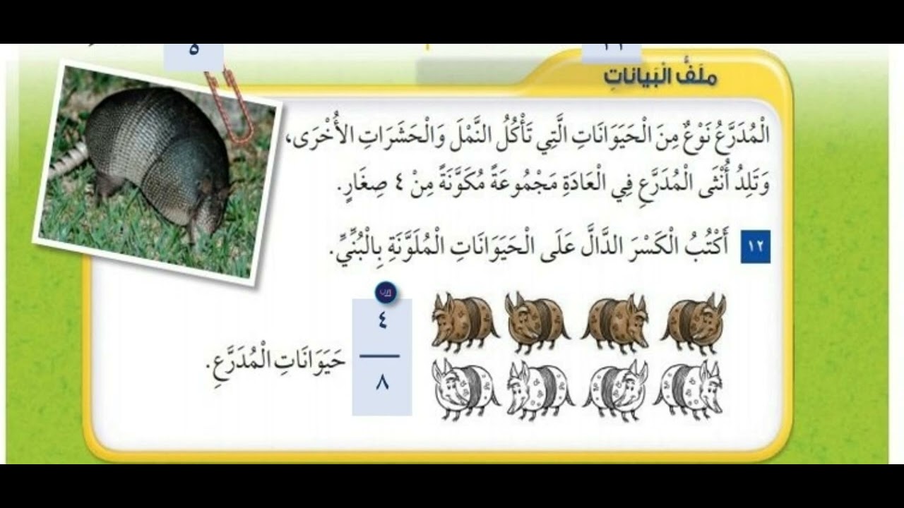 المدرع نوع من الحيوانات التي تأكل النّمل والحشرات الأخرى ، وتلد أنثى المدرع في العادة مجموعة مكونة