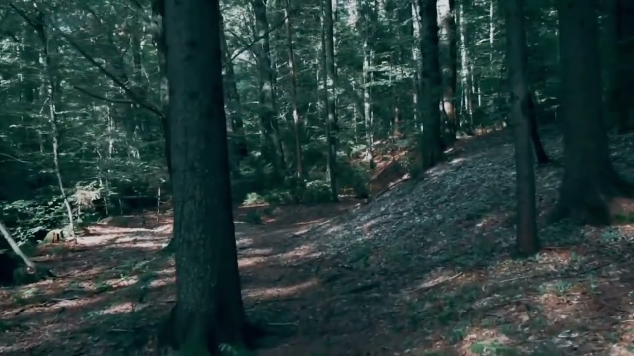 charge my heart by Jimmy Kedo