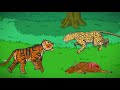 Tiger vs leopard animation