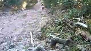 enduro grimpettes de sable