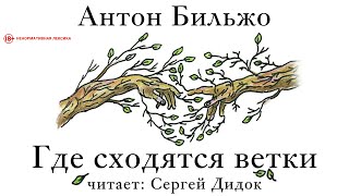 Антон Бильжо. Где Сходятся Ветки. Аудиокнига. Фантастика. Мистика.