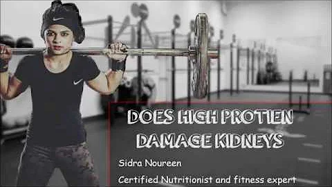 Does High Protein Diet Damage Kidneys