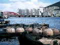 釜山港へ帰れ