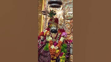 Jai Baba Ri Sa 🙏🏻❤️#jaibabari #ramapir #youtubeshorts #video #youtubeshorts #jai #video 🙏🏻🙏🏻