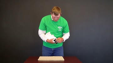 4-H Rabbit Showmanship Tutorial