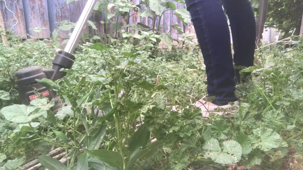 Craftsman electric weed eater YouTube