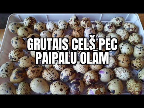 Video: Paipalu Un Paipalu Olas