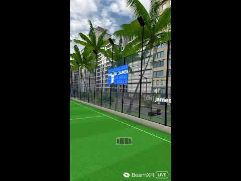 VRFS Live! (VR football simulator)