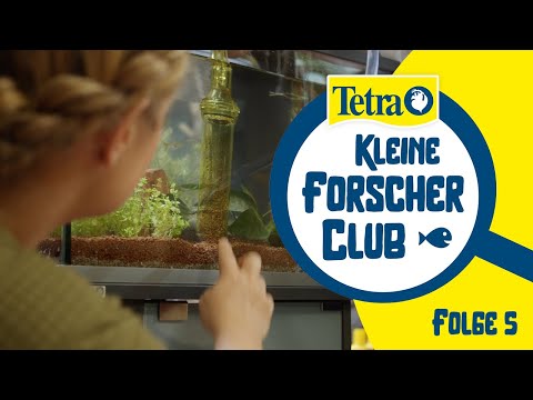 #Aquarium reinigen für Anfänger | Tetra Kleine Forscher Club Folge 5