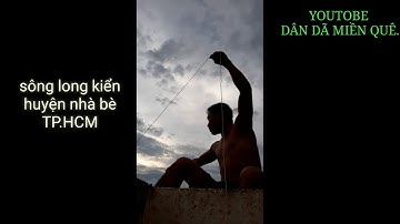 Nghề câu giăng cá ngát mưu sinh  //dân dã miền quê official