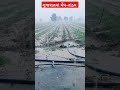 🔴 Live: રાણીવાડા પંથકમાં મુશળધાર વરસાદ શરૂ