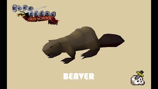 OLD SCHOOL RUNESCAPE BEAVER PET AT LEVEL 74 WOODCUTTING O o
