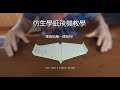 仿生學紙飛機 | 像鳥一樣搧動翅膀飛行吧! Bionic Paper Plane which fly like a bird.!