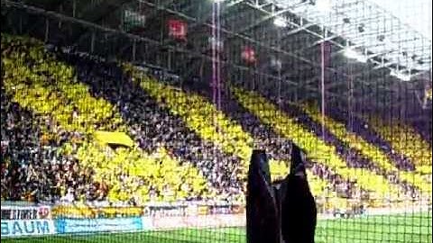 SG Dynamo Dresden gegen FC Energie cottbus 21.4.13 60 Jahre Choreo