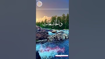 تلاوة عطرة من القرآن الكريم #القرآن_الكريم #اكسبلور #motivation