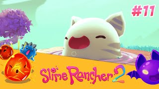 ПОСЛЕДНИЕ ЧЕТЫРЕ ГОРДО ► Slime Rancher 2 #11