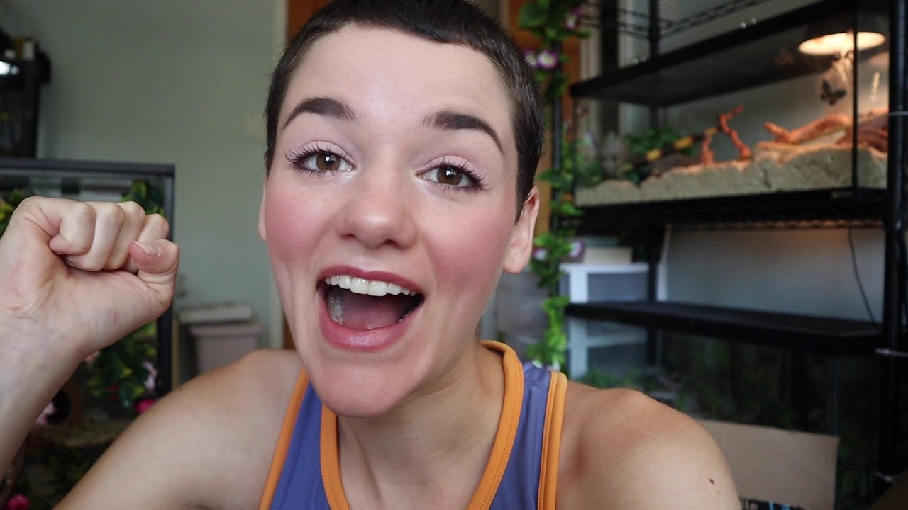 video phone beyonce mp3 CRESTED GECKO TANK MAKEOVER!!