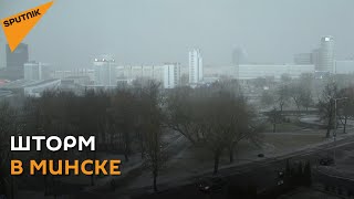 Непогода в Беларуси: Ураганный ветер валит деревья и сбивает с ног людей)