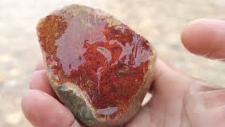 Menemukan Batu Akik Lumut Merah di Hamparan Bebatuan Yang Luas