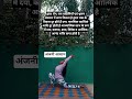 #yogishorts #sorts #yogainsipiration #yogapractice #youtubeshorts #yogaroutine #findyourpeace #yoga