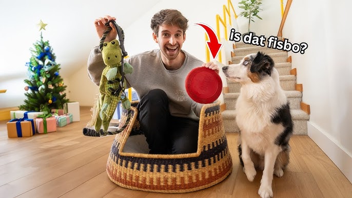 The Woof-tastic Guide to Christmas Gifts for Puppies Unwrap a Joyful Holiday