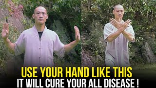 "This Exercise Will Heal You Completely From Inside" | Qigong Technique | Master Shi Heng Yi