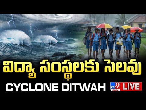 విద్యా సంస్థలకు సెలవు LIVE | Schools Closed In AP | Cyclone Ditwah Effect Updates -TV9 - TV9