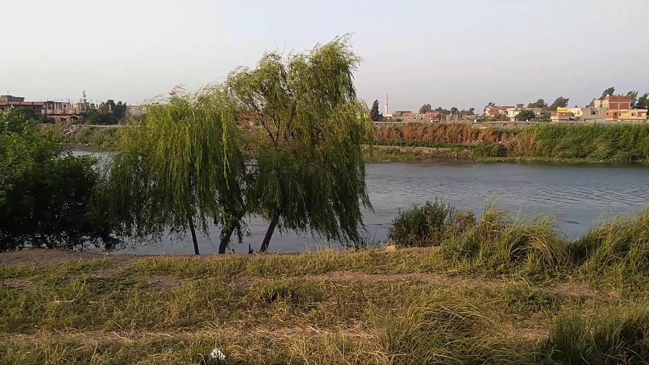 Egypt Farms and The Nile River.
