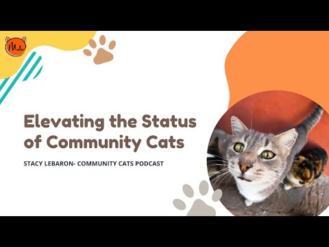 Elevating the Status of Community Cats- Community Cats Podcast