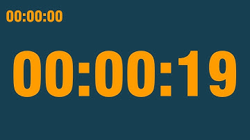 19 second timer (with end alarm, time elapsed and progress bar)