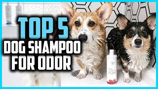 ✅ Top 5 Best Dog Shampoo For Odor of 2024