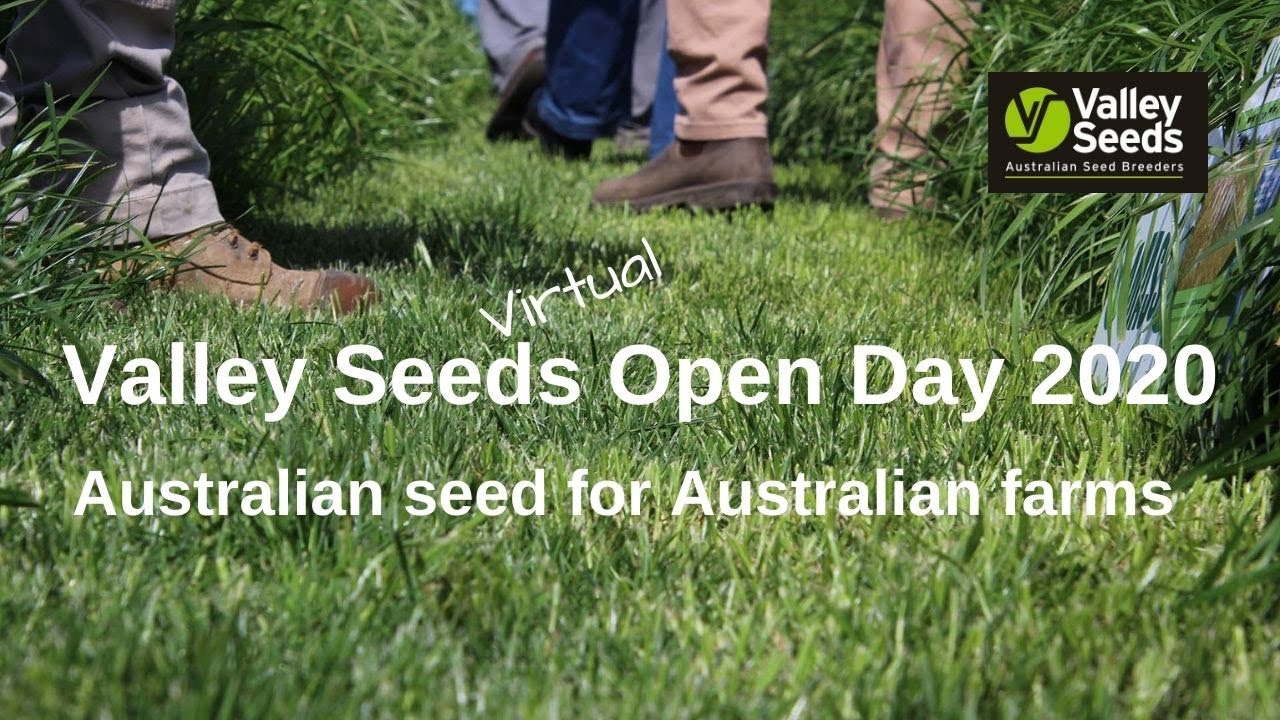 Valley Seeds - breeding pasture varieties for Australian conditions