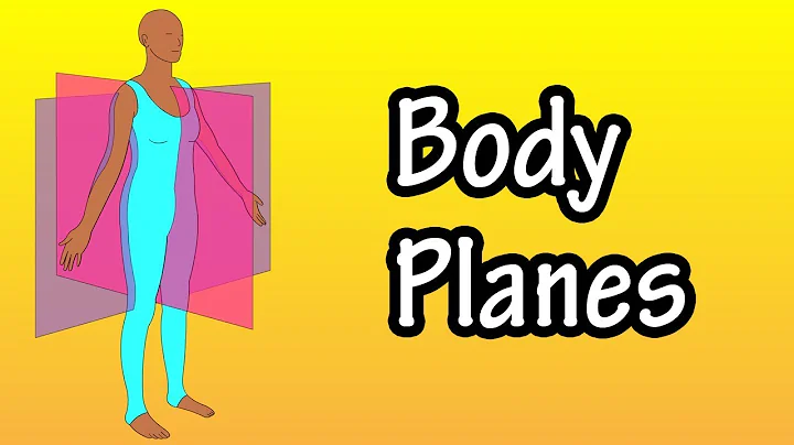 Body Planes - Planes Of The Body - Sagittal Planes, Transverse Planes And Frontal Planes
