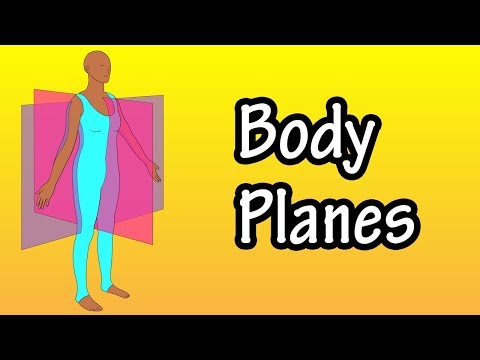 Body Planes - Planes Of The Body - Sagittal Planes, Transverse Planes And Frontal Planes