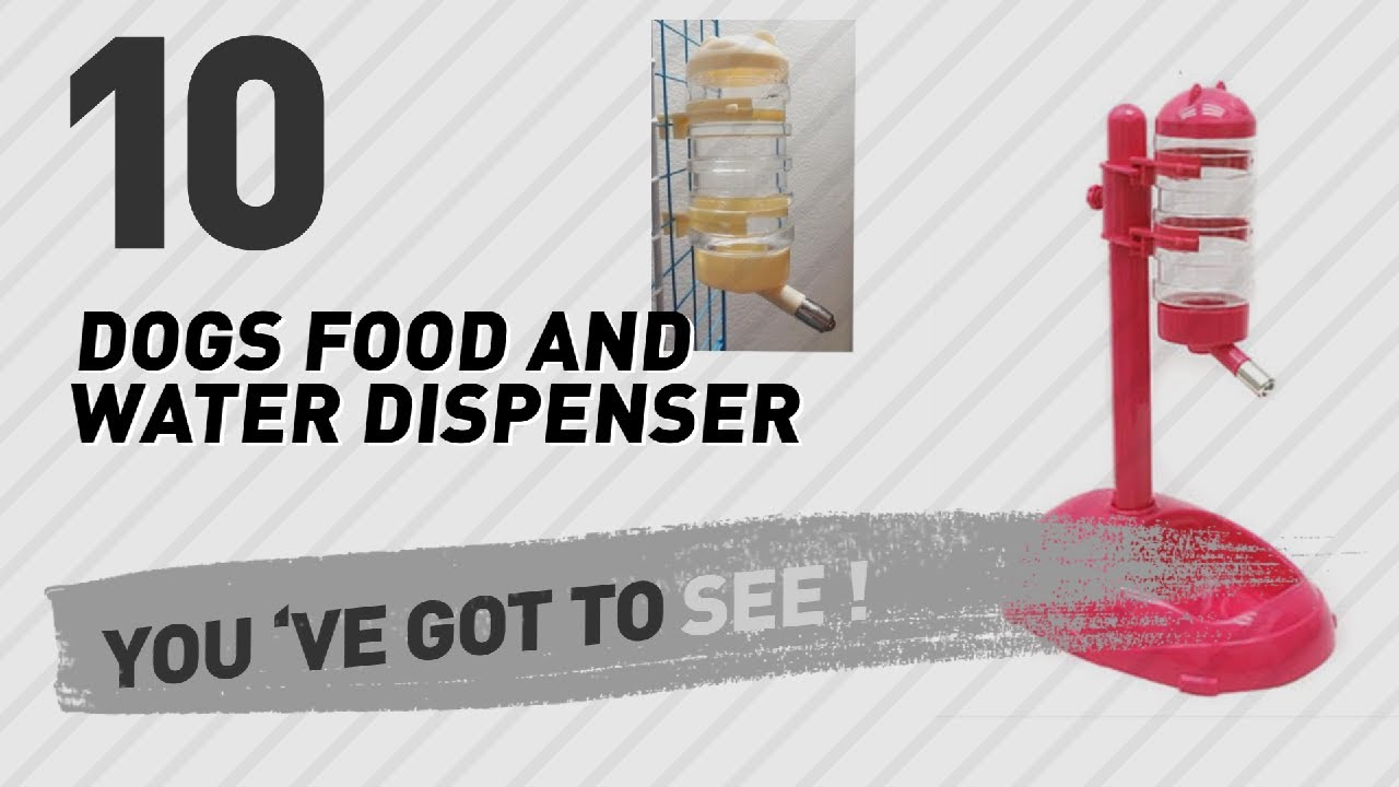 dog food orijen Dogs Food And Water Dispenser // Top 10 Most Popular