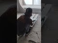How to Cut Tiles Like a Pro | Tile cutting is not hard | FixHAB