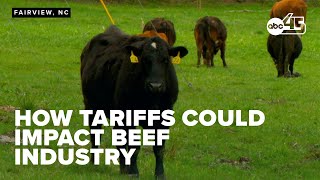 Farm owner discusses potential impact of Trump's tariffs on local beef industry