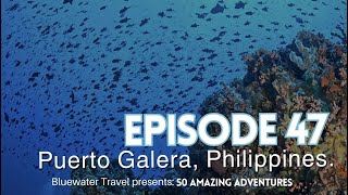 Diving in Puerto Galera, Philippines! 🇵🇭🐠